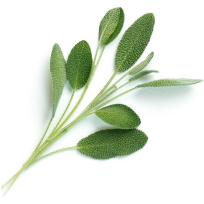 Veritable Lingot - Salvia Bio